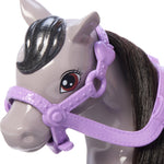 Barbie Chelsea Doll & Toy Horse Set, Includes Helmet Accessory & Saddle, Small Doll Bends at Knees to “Ride” Gray Pony