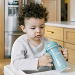 Dr. Brown's Milestones Insulated Sippy Cup with Straw and Handles, Spill-Proof Tumbler with Lid, 2-Pack, Green, 10 oz/300 mL, BPA Free, 12m+