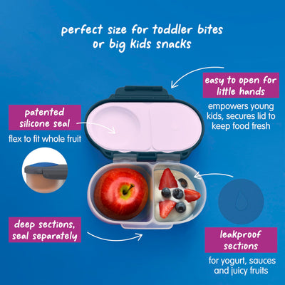 b.box Snack Box - Leakproof Mini Bento Box for Kids & Toddlers, 2 Compartment Snack Containers for Kids, Lunch Containers, Dishwasher Safe, BPA Free, PFAS Free, Ages 4m+, 1 3/4 Cup - Indigo Rose