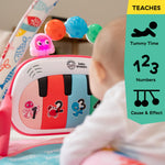 Baby Einstein Ocean Explorers 4-in-1 Kickin Tunes Jellyfish Jamboree Music & Language Discovery Gym, Pink, Ages 0 Months and Up