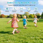 Pull-Along Walking Toys for Babies 12 Months +,4 in 1 Push and Pull Toy for Toddlers Aged 1-2 and 3-4 Years Old, Wooden Baby Toys, Montessori Early Development Sensory Toy