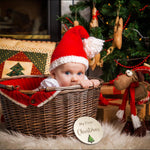 10 Pack Baby Monthly Milestone Signs – Wooden Double-Sided Discs for 1-12 Months, My First Holiday & Hello World Birth Announcement, Newborn Photo Props & Baby Shower Keepsake Gift for Boys & Girls