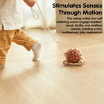 PlanToys Pull Along Hedgehog – Brown (5274)