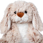 Plush toy dog with a white chest and brown ears and nose on a white background