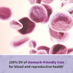 Garden Of Life, Raw Vitamin Code Prenatal 90 Organic, 90 Count