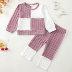 2T 3T Girl Clothes Long Sleeve Purple Shirts Knit Pants Soft Leggings Little Girl 2 Piece Cute Outfit Toddler Fall Winter Clothes