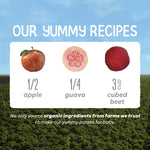 Happy Baby Organics Stage 2 Baby Food Pouches, Gluten Free, Vegan & Healthy Snack, Clearly Crafted Fruit & Veggie Puree, Apples, Guavas & Beets, 4 Ounces (Pack of 16)