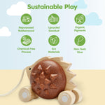 PlanToys Pull Along Hedgehog – Brown (5274)