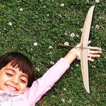 FOYTOKI Wooden Hand Thrown Glider Plane Kit DIY Model Aeroplane for Boys and Girls Adults Hand Launch Glider for Indoor Outdoor Play