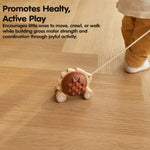 PlanToys Pull Along Hedgehog – Brown (5274)