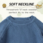Peecabe Toddler Baby Girl Boy Cable Knit Sweater Cotton Infant Pullover Crewneck Long Sleeve Sweatshirt Fall Winter (Haze Blue, 2T)
