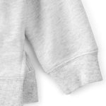 Carter's Boy Pullover Sweatshirt, Grey, 2T