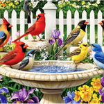 500 Pieces Puzzle for Adults,Birds Bath Flower Fence Puzzle,Recycled Cardboard Animals Jigsaw Puzzle 500 Pieces,Challenging Game Home Decor Birthday Party Gift Toy for Adults Kids Seniors 20.5 * 15 in