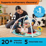 Ingenuity Baby Einstein Farm Explorers Happy Harvest Touch & Feel Baby Play Gym & Mat with 5 Removable Toys, 20+ Songs & Sounds, Ages 0+ Months