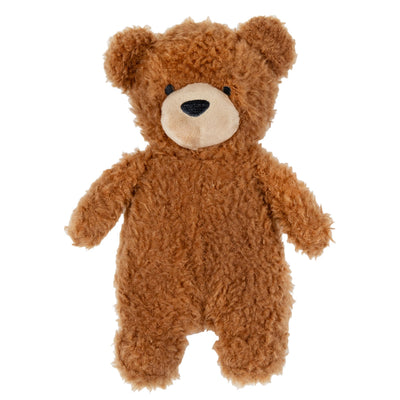 Brown teddy bear on a white background