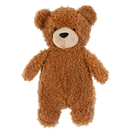 Brown teddy bear on a white background