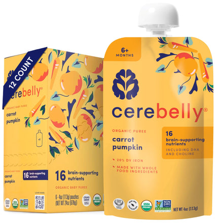 Cerebelly organic puree packaging for carrot pumpkin flavor on a white background