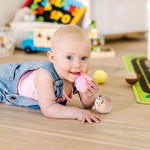 Melissa & Doug Rollables Safari and Farm Friends Infant and Toddler Toy 2-Pack