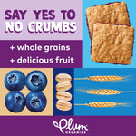 Plum Organics Jammy Sammy Snack Bars - Blueberry and Oatmeal - 1.02 oz Bars (Pack of 5) - Organic Toddler Food Snack Bars