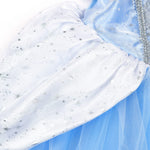 TYHTYM Cinderella Costumes Girl Dress Up Puffy Sleeves Pageant Party Halloween Fancy Ball Gown (2-3T, Blue)