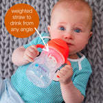 b.box Sippy Cup with Weighted Straw (2-pack). Drink from any Angle, Leak Proof, Spill Proof, Easy Grip. BPA Free, Dishwasher Safe. For Babies 6m+ to Toddlers (tutti frutti + boysenberry, 8oz)