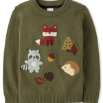 Gymboree,Boys,and Toddler Long Sleeve Embroidered Crew Neck Pullover Sweater,Olive Critters,4 Years