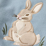 Gymboree,Boys,and Toddler Embroidered Pullover Sweater,Dusty Robin Bunny,6
