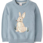 Gymboree,Boys,and Toddler Embroidered Pullover Sweater,Dusty Robin Bunny,6
