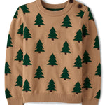 Gymboree,Boys,and Toddler Long Sleeve Crew Neck Pullover Sweater,Chipmunk Trees,6