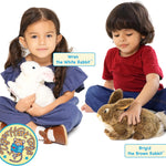 Brigid The Brown Rabbit - 10 Inch Stuffed Animal Plush Bunny