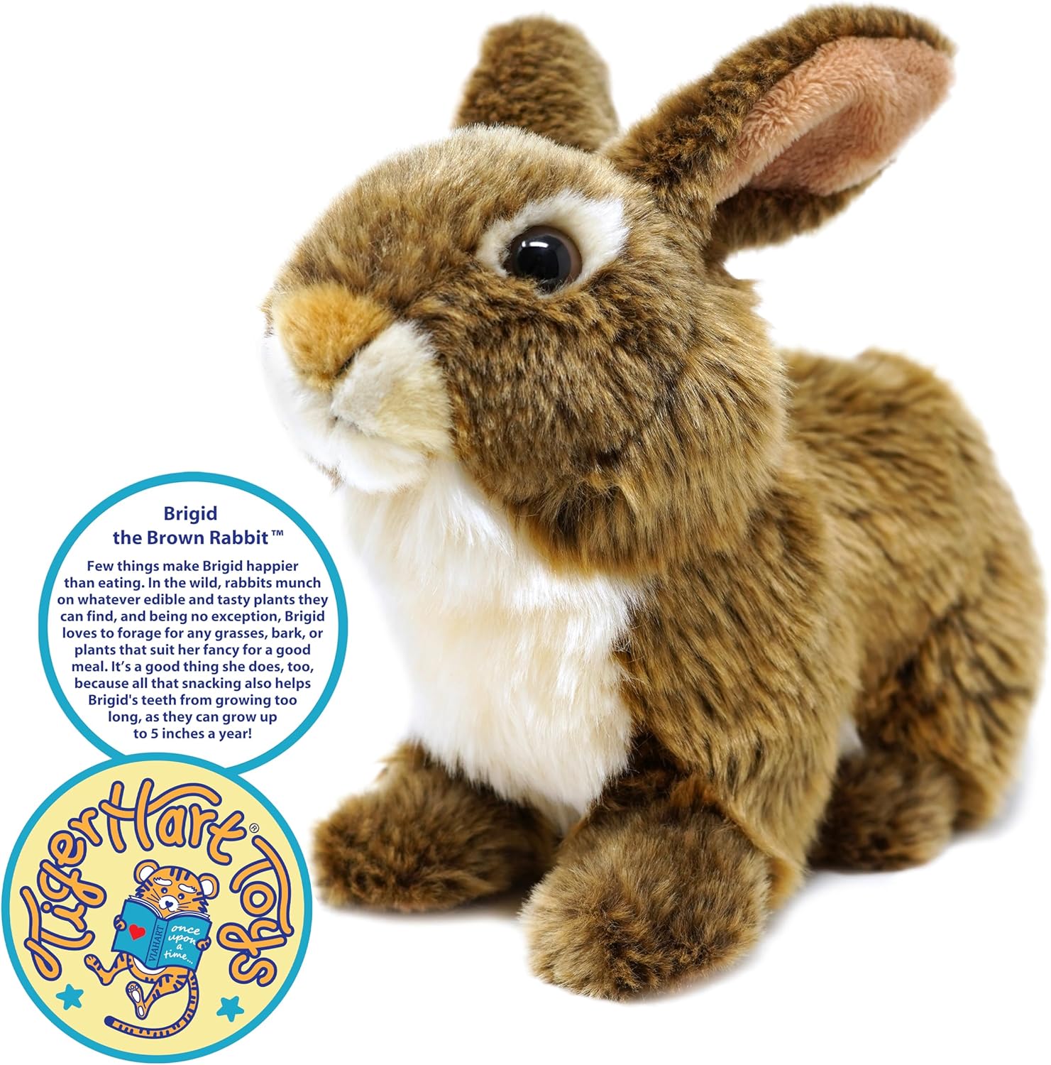 Brigid The Brown Rabbit - 10 Inch Stuffed Animal Plush Bunny