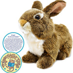Brigid The Brown Rabbit - 10 Inch Stuffed Animal Plush Bunny