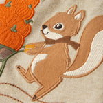 Gymboree,Boys,and Toddler Embroidered Graphic Long Sleeve Raglan T-Shirts,Harvest Squirrel,12