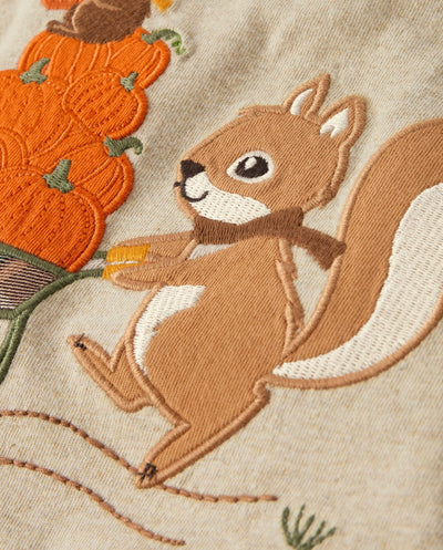 Gymboree,Boys,and Toddler Embroidered Graphic Long Sleeve Raglan T-Shirts,Harvest Squirrel,12