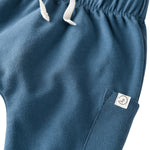 little planet by carter's unisex-baby 2-pack Pants made with Organic Cotton, Navy/Heather, 9 Months