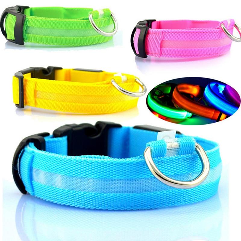 Pet Collars & Harnesses