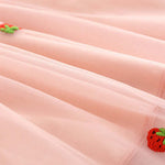 Baby Girl Strawberries Embroidered Mesh Overlay Design Bow Tie Patched Hundred Dress