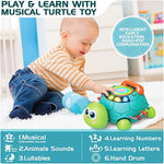 Baby Toys 6 to 12 Months;  Musical Turtle Crawling Baby Toys for 12-18 Months;  Early Learning Educational Toy with Light & Sound;  Birthday Toy for Infant Toddler Boy Girl 1-2 Year Old