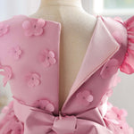 Baby Flower Patched Design Mesh Patchwork Butterfly Sleeve Dress