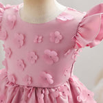 Baby Flower Patched Design Mesh Patchwork Butterfly Sleeve Dress