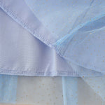 Baby Girl Sequins Animal Pattern Mesh Overlay Design Dress