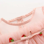 Baby Girl Strawberries Embroidered Mesh Overlay Design Bow Tie Patched Hundred Dress