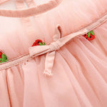 Baby Girl Strawberries Embroidered Mesh Overlay Design Bow Tie Patched Hundred Dress